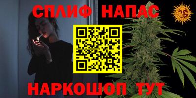 прущие грибы Кунгур